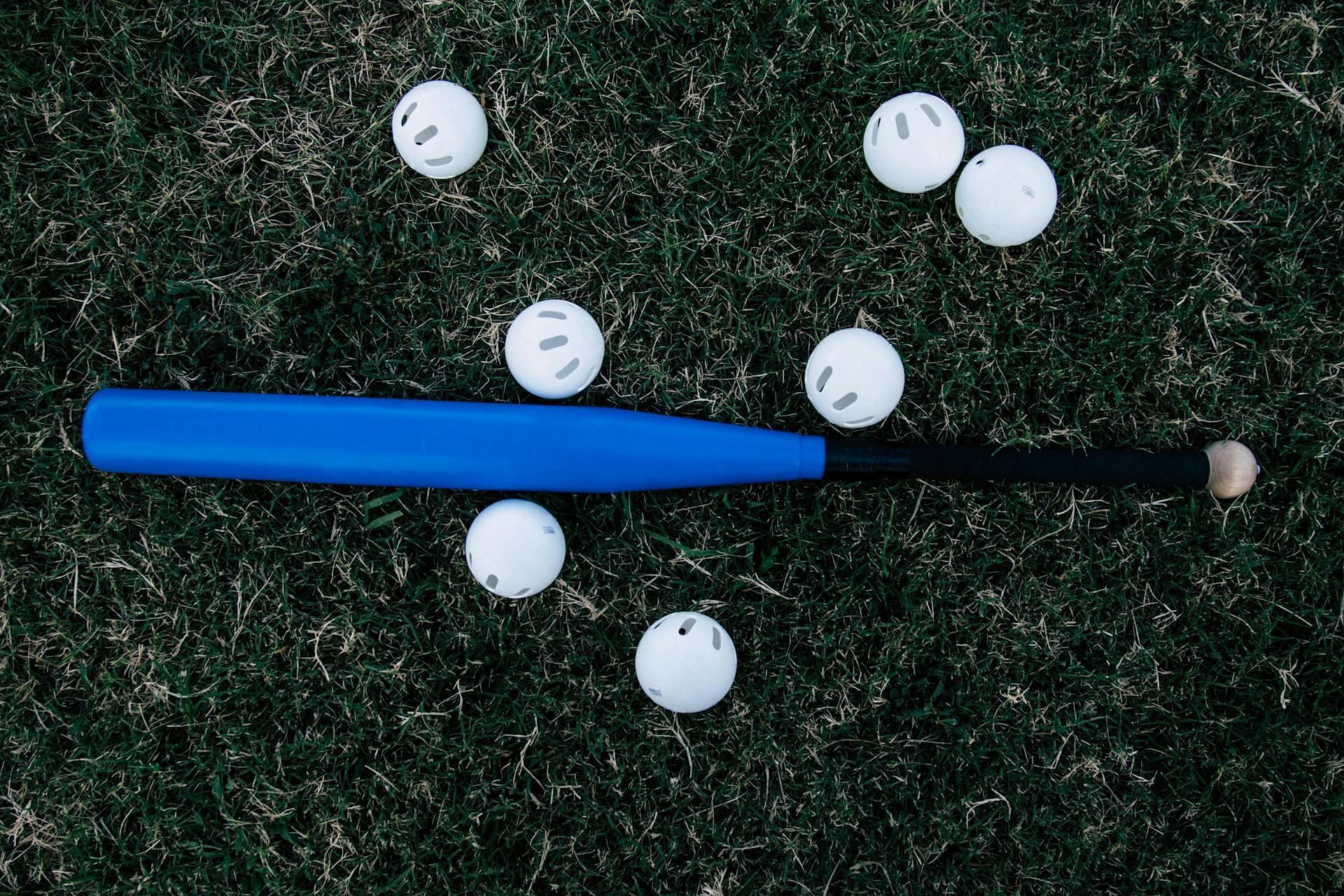 Gallardo used a baseball bat to kill Lara (Image via Pexels)